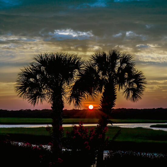 Palm Sunset Ocean Isle Beach Photo by Dwayne Schmidt