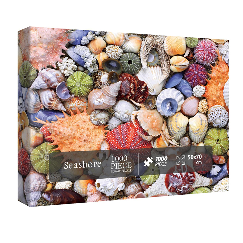 Colorful Seashell 1000 Piece Puzzle, Ocean Beach Jigsaw for Adults