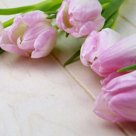 Mother's Day Gift Guide