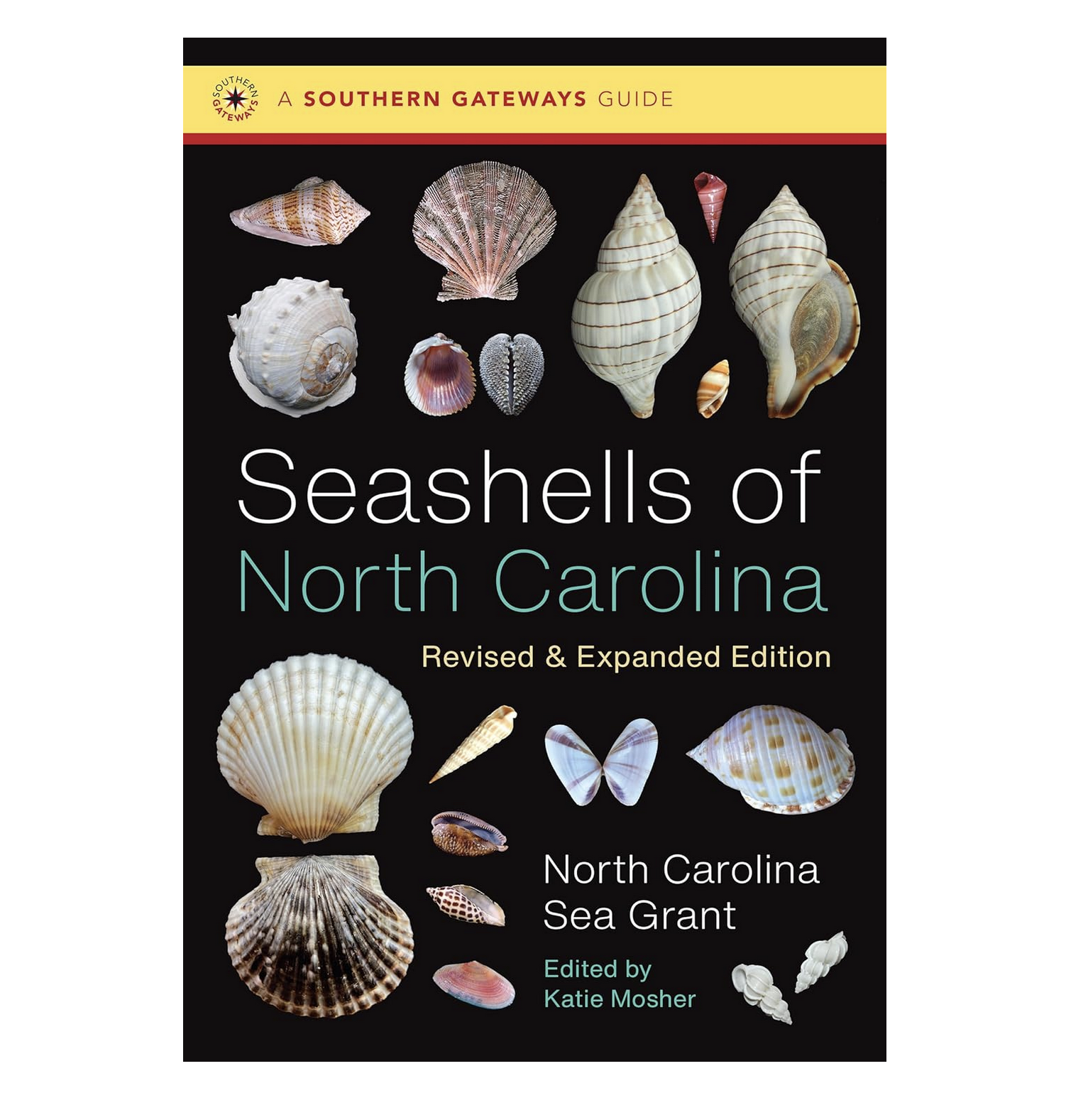 Seashells of North Carolina, Revised & Expanded Edition