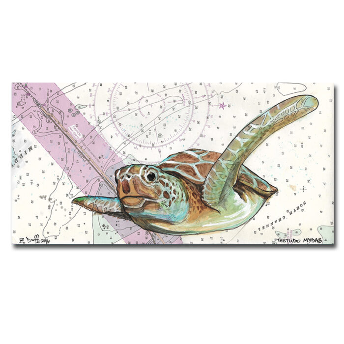 Sea Turtle Print by Zak Duff
