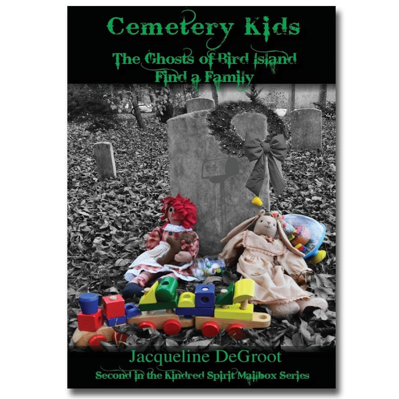 Cemetery Kids 2 The Ghosts of Bird Island Find a Family by Jacqueline DeGroot