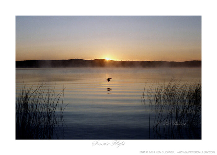 Sunrise Flight- Photo by Ken Buckner (1880)