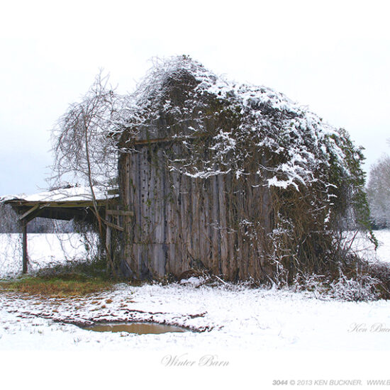 Winter Barn- Photo by Ken Buckner (3044)
