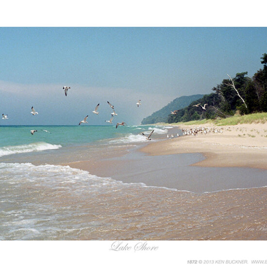 Lake Shore- Photo by Ken Buckner (1872)